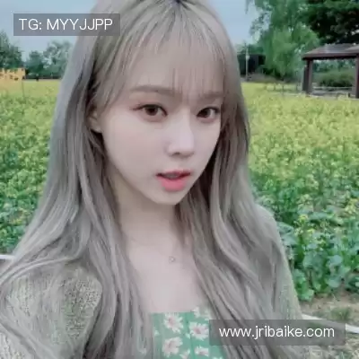嵇蒙飚